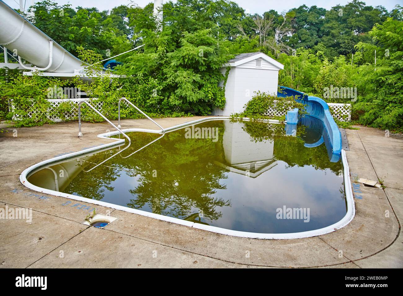 Piscine abandonnée en forme de rein envahie avec toboggan - vue à hauteur des yeux Banque D'Images