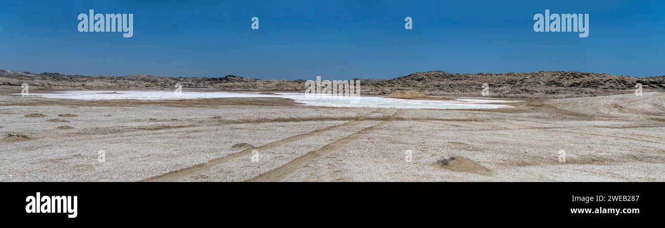 Paysage avec des dépôts de sel sur un sol aride près de la rive désertique, photographié dans la lumière brillante de la fin du printemps au sud de Luderitz, Namibie, Afrique Banque D'Images