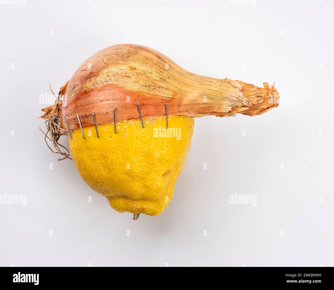 Manipulation de gènes Banque D'Images