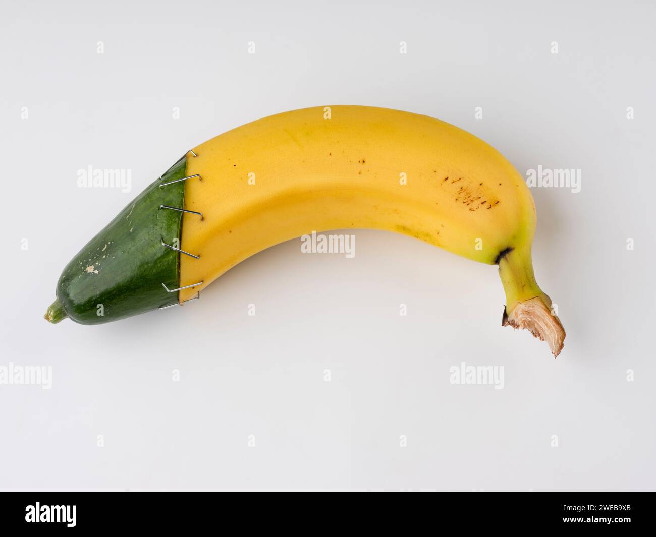 Manipulation de gènes Banque D'Images