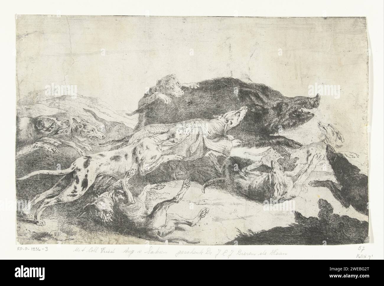 Les chiens chassent un sanglier, Peeter Boel, c. 1650 - c. 1674 imprimer Wildezwijnenjacht. Une meute de chiens conduit un sanglier. chasse au sanglier de gravure inconnue Banque D'Images