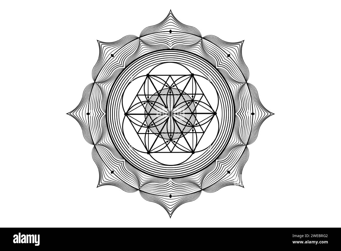 lotus sacré yantra mandala, fleur mystique de la vie. Géométrie sacrée, élément graphique de logo vectoriel isolé. Icône mystique graine de vie, logo géométrique Illustration de Vecteur