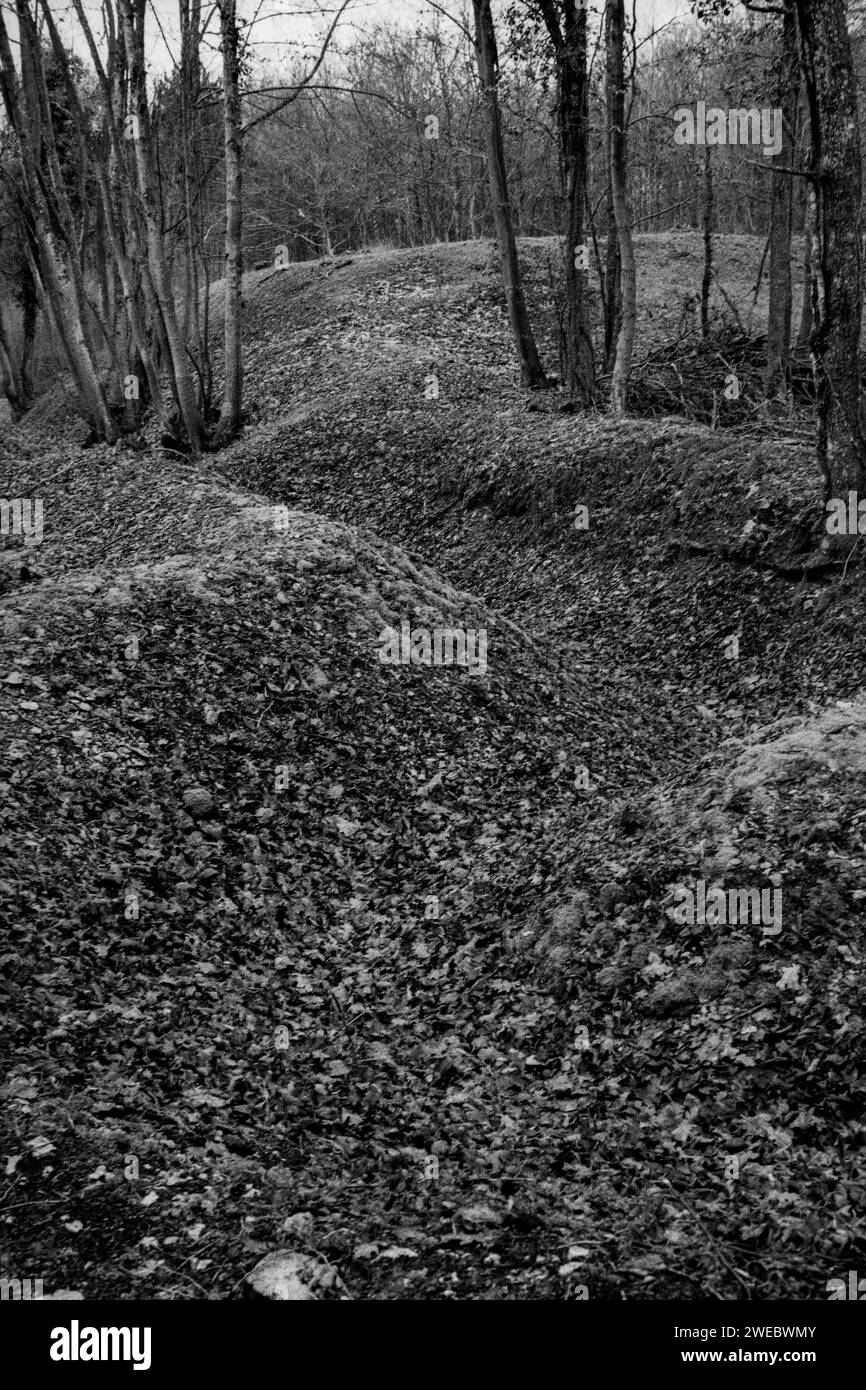 Restes de tranchées dans la forêt près de Verdun, Meuse, région Grand-est, France, 2000 Banque D'Images