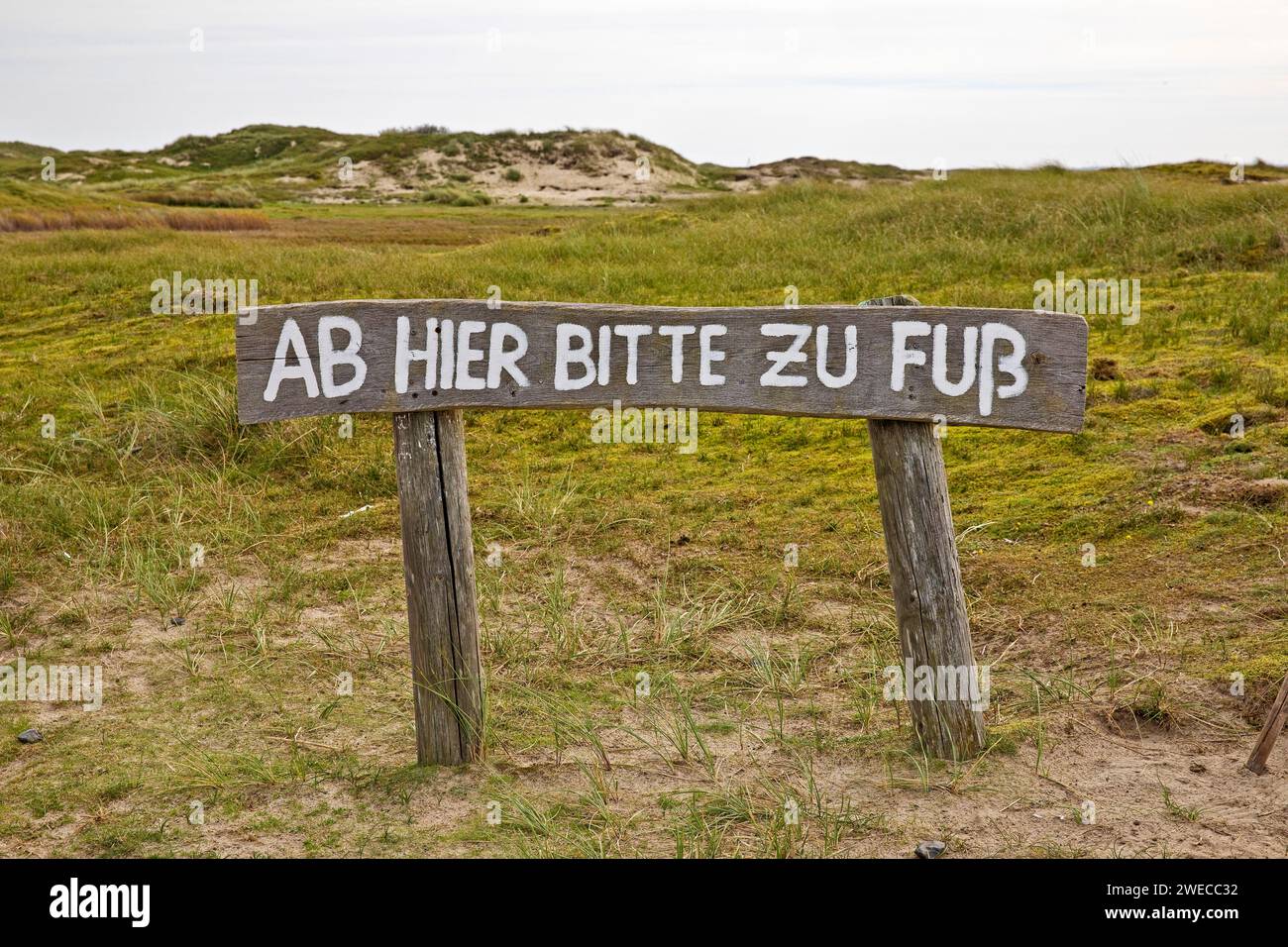 Note d'ici s'il vous plaît marcher, dans la réserve naturelle, Allemagne, Basse-Saxe, Norderney Banque D'Images