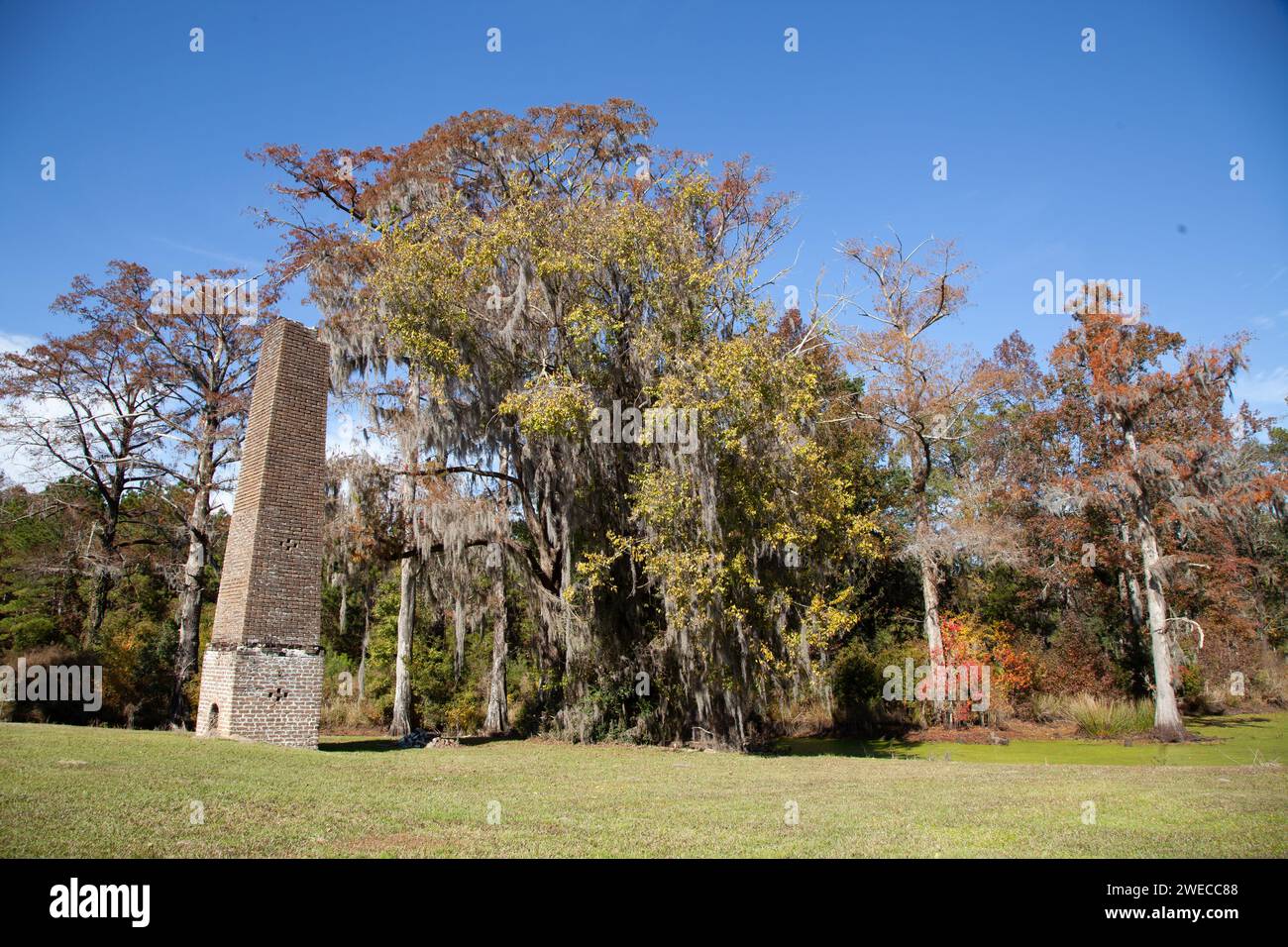 Magnifique paysage naturel dans une plantation en Caroline du Sud avec des arbres de chêne et de cyprès et Swamp Water Rice Mill Chimney Banque D'Images