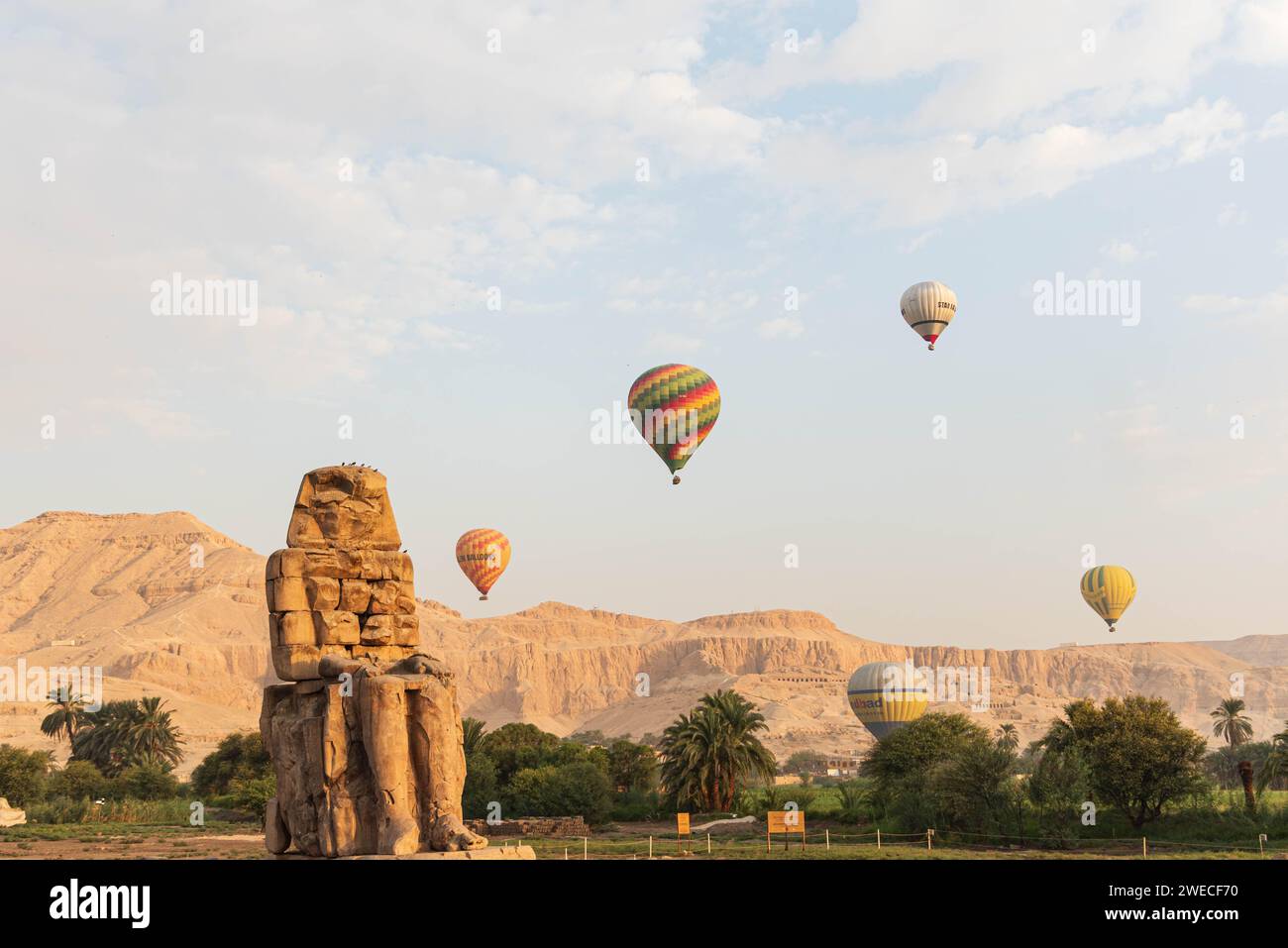 Colosse de Memnon en Égypte : majestueuses statues antiques gardant les merveilles historiques de Louxor, faisant écho à l'héritage durable du Pharaon. Banque D'Images