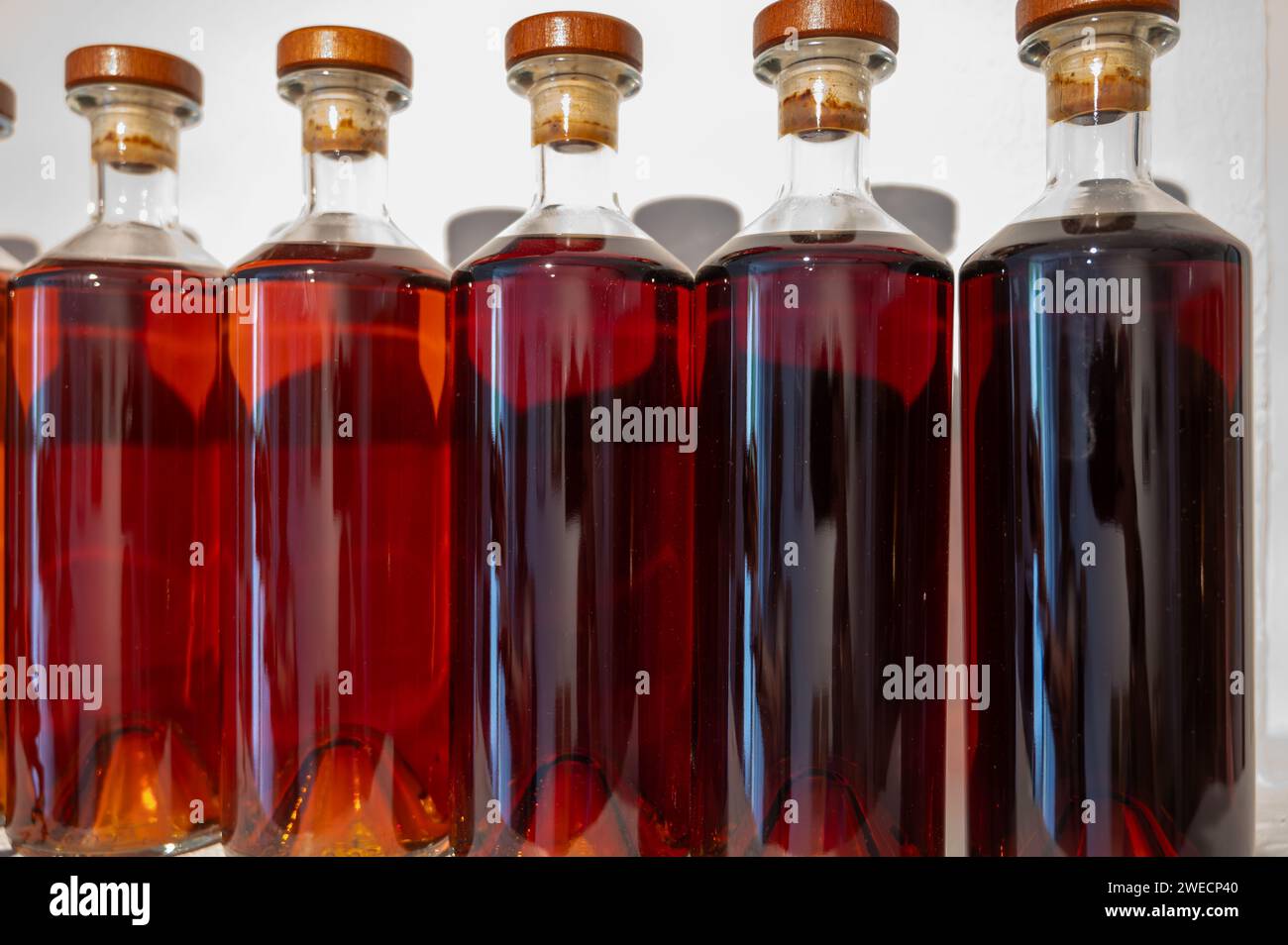 Différentes couleurs et âges de spiritueux de cognac en bouteilles en distillerie, région de vin blanc de Cognac, Charente, visite de l'ancienne maison de distillation de spiritueux, Banque D'Images