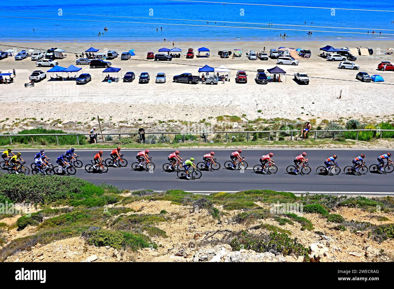 Coureurs participant à l'étape 5 du Tour Down Under 2024 à Aldinga à Adélaïde en Australie Banque D'Images