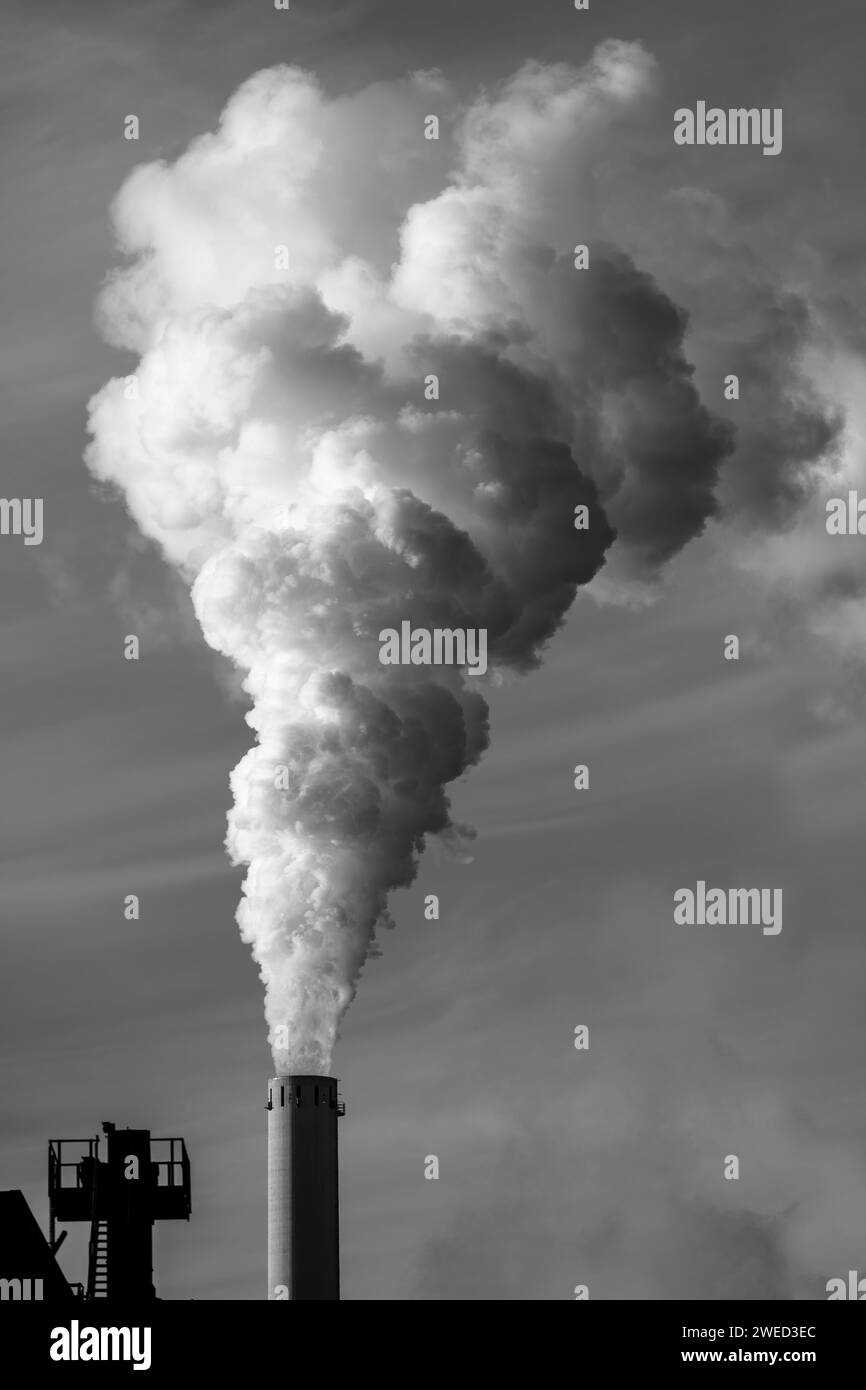 Image symbolique redressement énergétique, combustibles fossiles, cheminée fumante, installation industrielle, cheminée, pile, fumée, charbon, image en noir et blanc, Mannheim Banque D'Images