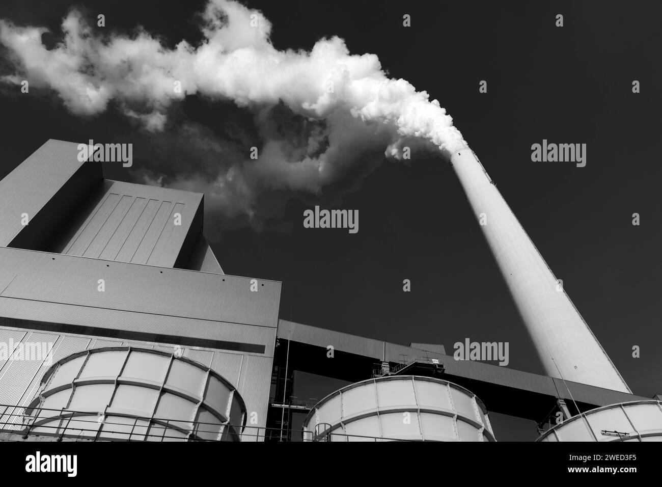 Image symbolique, redressement énergétique, grande centrale électrique de Mannheim, combustibles fossiles, cheminée fumante, installation industrielle, cheminée, fumée, charbon, noir et blanc Banque D'Images