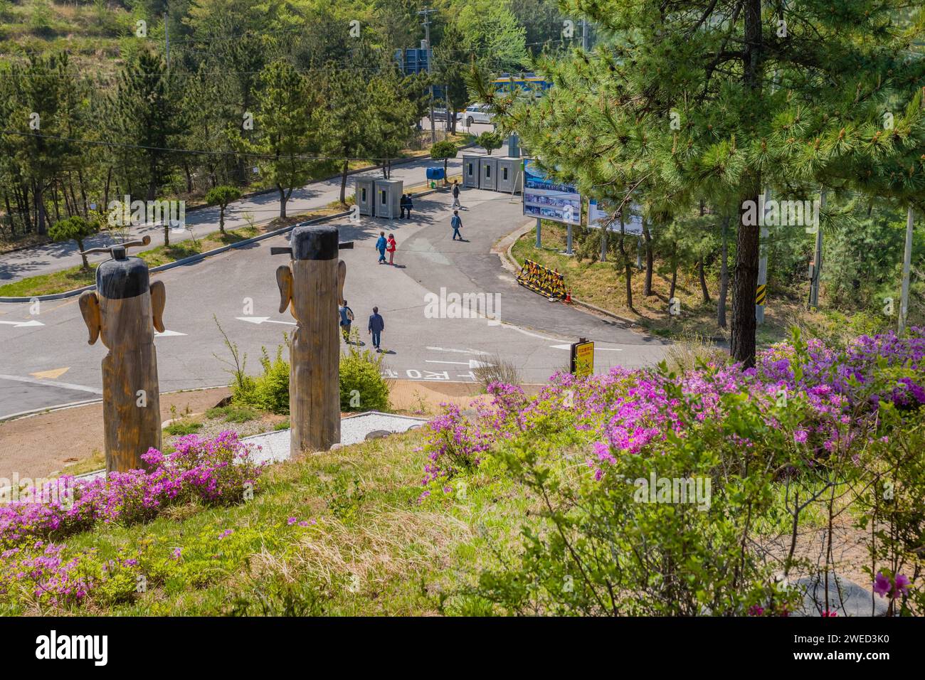 Dos de grands totems en bois dans le parc à la tour d'observation de Goseong unification à Goseong, Corée du Sud Banque D'Images