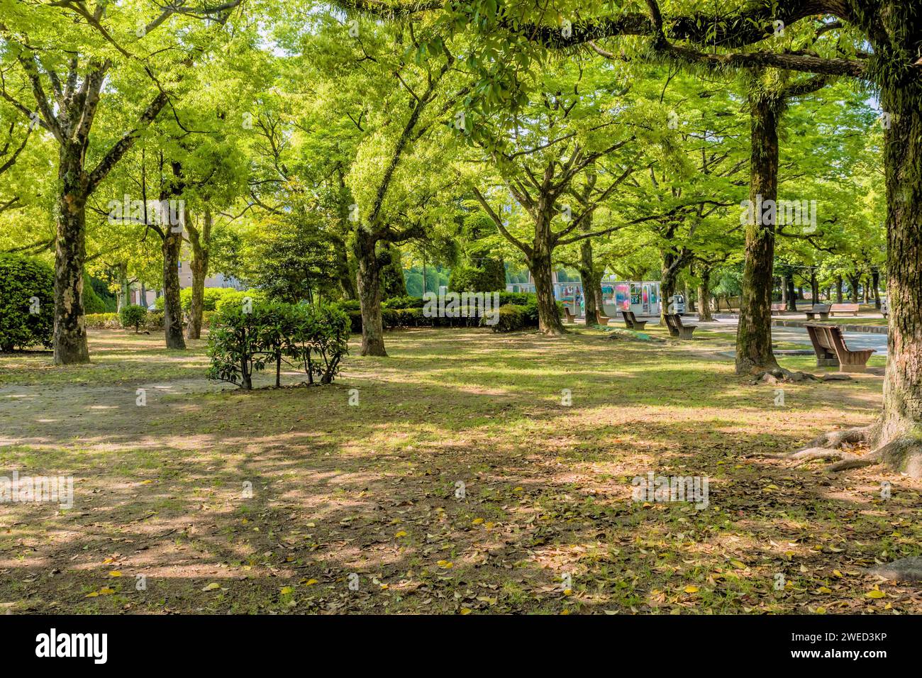 Paysage d'un paisible parc ombragé à Hiroshima, Japon Banque D'Images