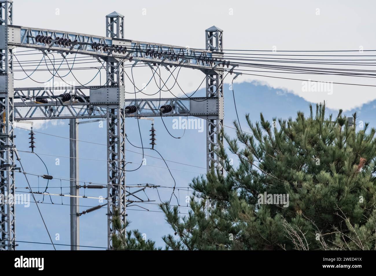 Structure métallique extérieure de la station de commutation électrique derrière l'arbre à feuilles persistantes dans la zone rurale Banque D'Images
