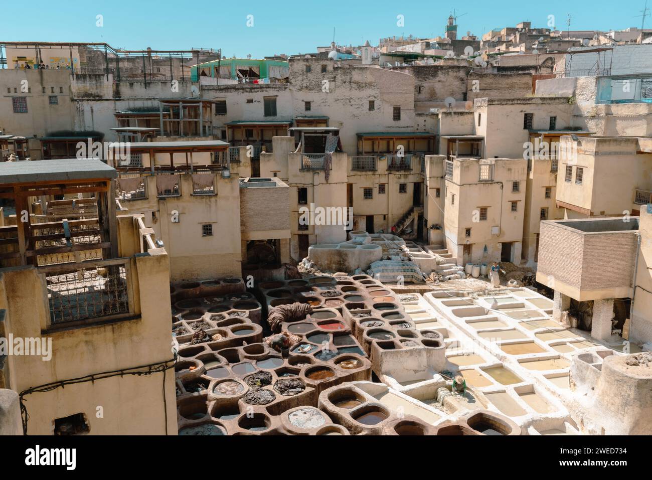 Dans une tannerie marocaine de cuir à Marrakech : un voyage captivant dans l'artisanat traditionnel et des scènes vibrantes. Banque D'Images