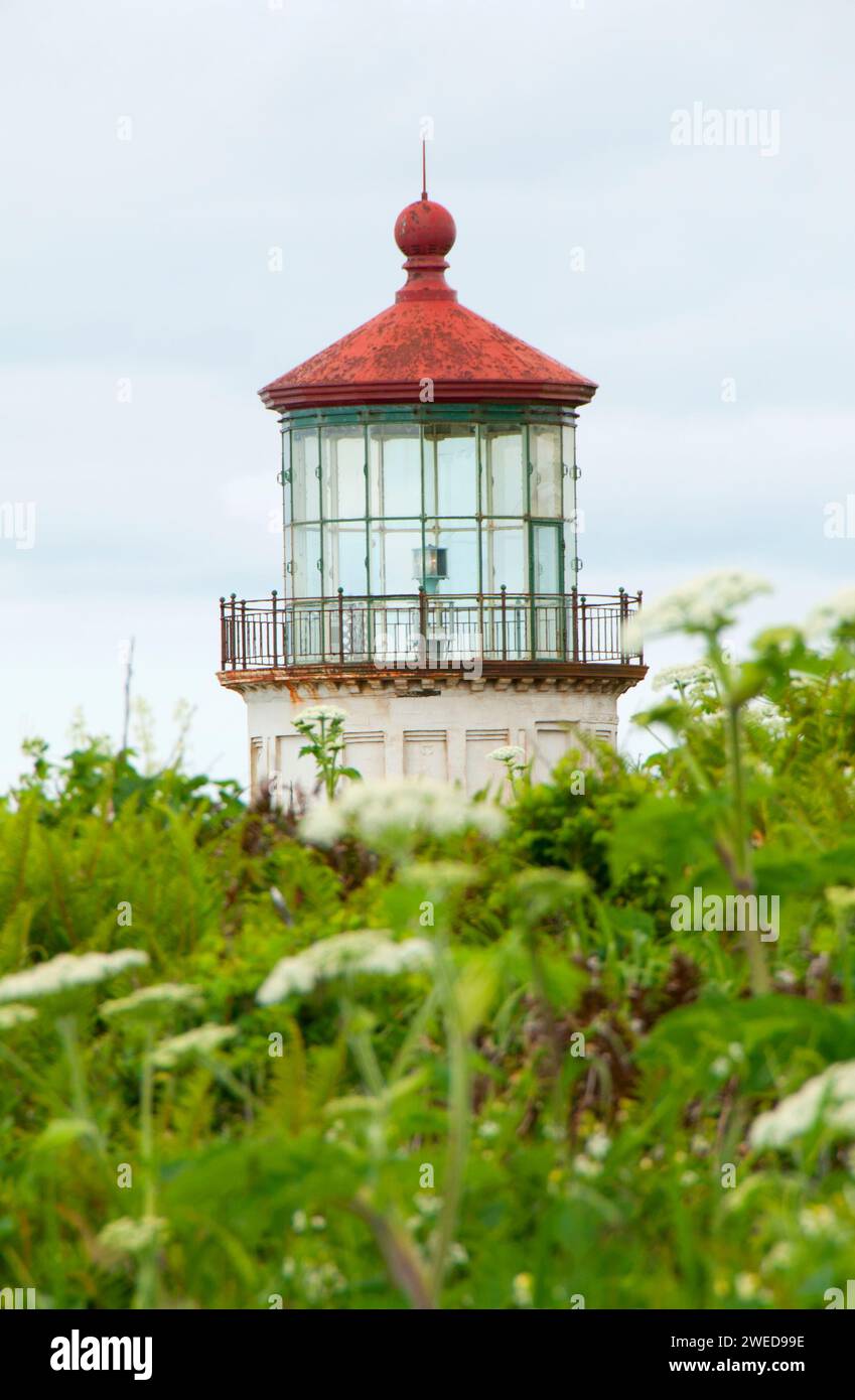Phare de North Head, Cape déception State Park, Lewis et Clark National Historical Park, Washington Banque D'Images