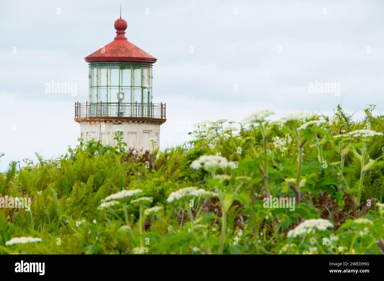 Phare de North Head, Cape déception State Park, Lewis et Clark National Historical Park, Washington Banque D'Images