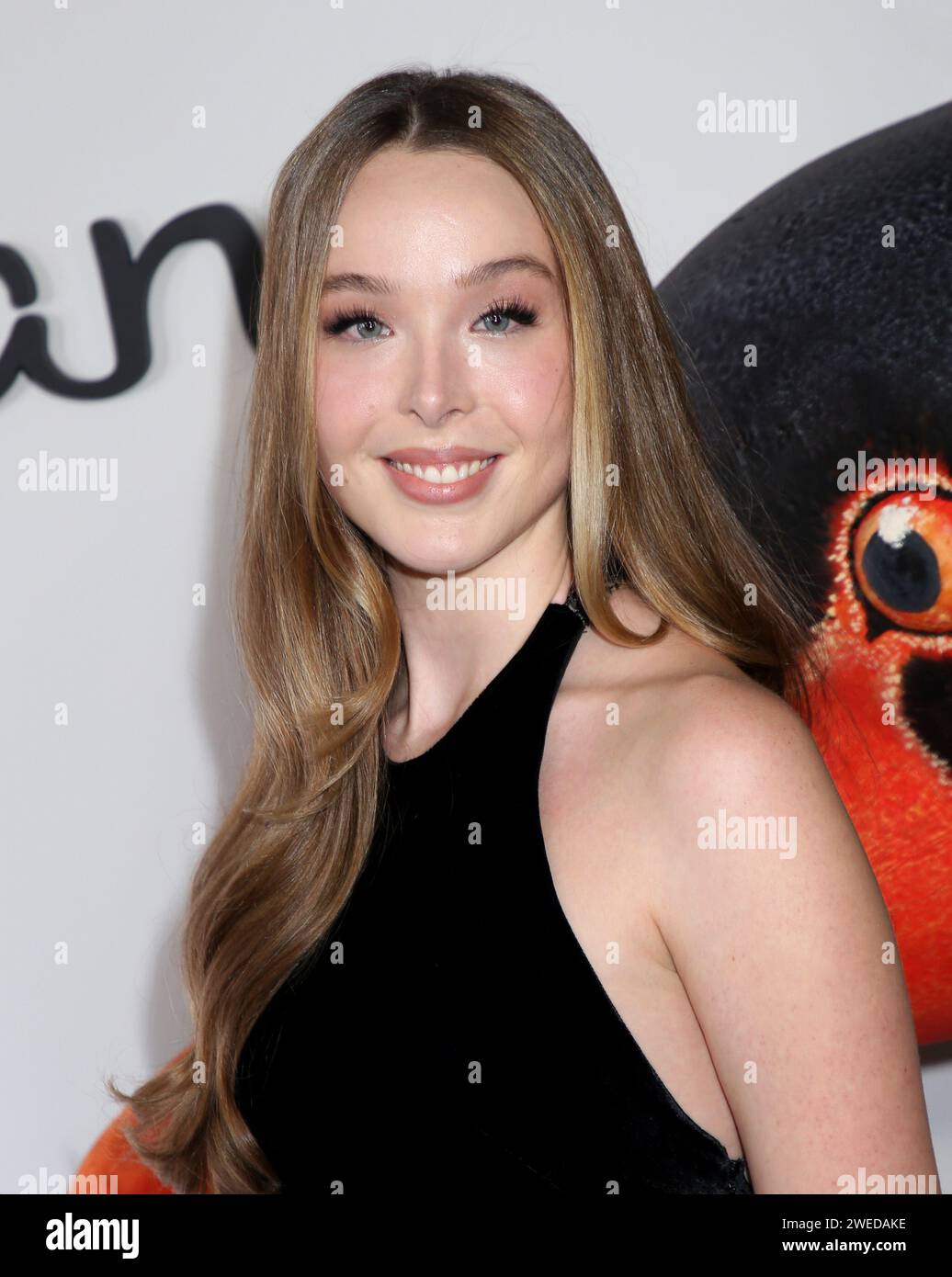 New York, États-Unis. 23 janvier 2024. Ella Beatty participe à la première de FX 'Feud : Capote VS. The Swans' New York au Museum of Modern Art le 23 janvier 2024 à New York City, NY © Steven Bergman/AFF-USA.COM Credit : AFF/Alamy Live News Banque D'Images