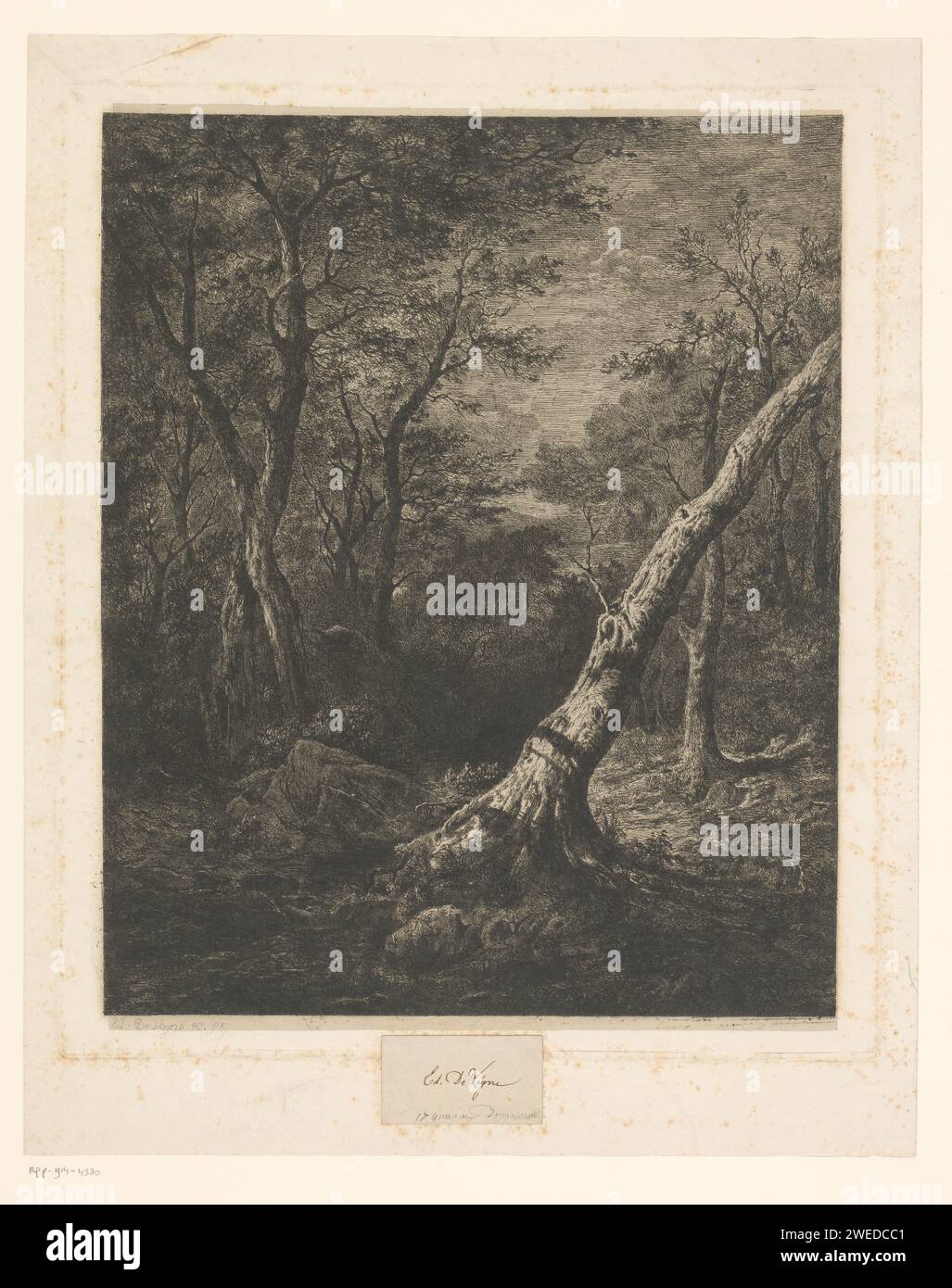 BOS paysage, Edouard de Vigne, 1818 - 1866 papier imprimé. gravure forêt, bois. arbres Banque D'Images