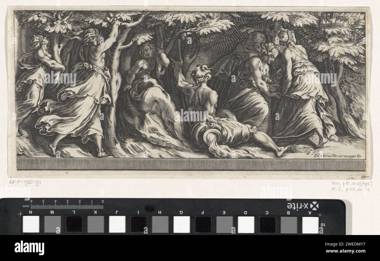Nimfen in de Tuin Van de Hesperiden, Cherubino Alberti (peut-être), d'après Polidoro da Caravaggio, d'après Cherubino Alberti, 1563 - 1615 imprimer nymphes cueillent des pommes dans le jardin des Hespérides. Italie gravure sur papier Tle jardin des Hespérides. Les pommes dorées des Hespérides. Nymphes (en général) ; 'Ninfe in communal' (Ripa) Banque D'Images