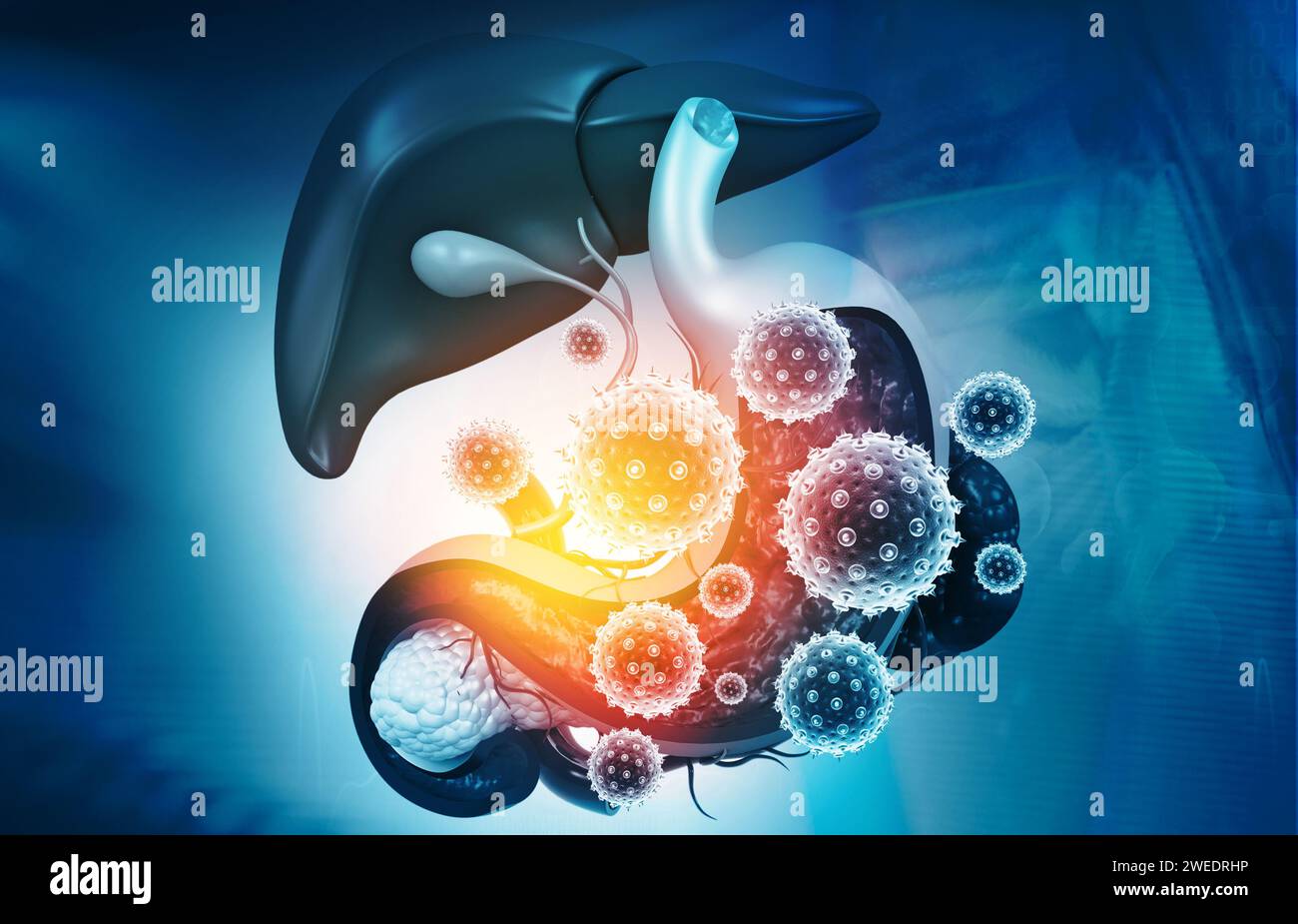 Le virus attaque le système digestif humain. illustration 3d. Banque D'Images