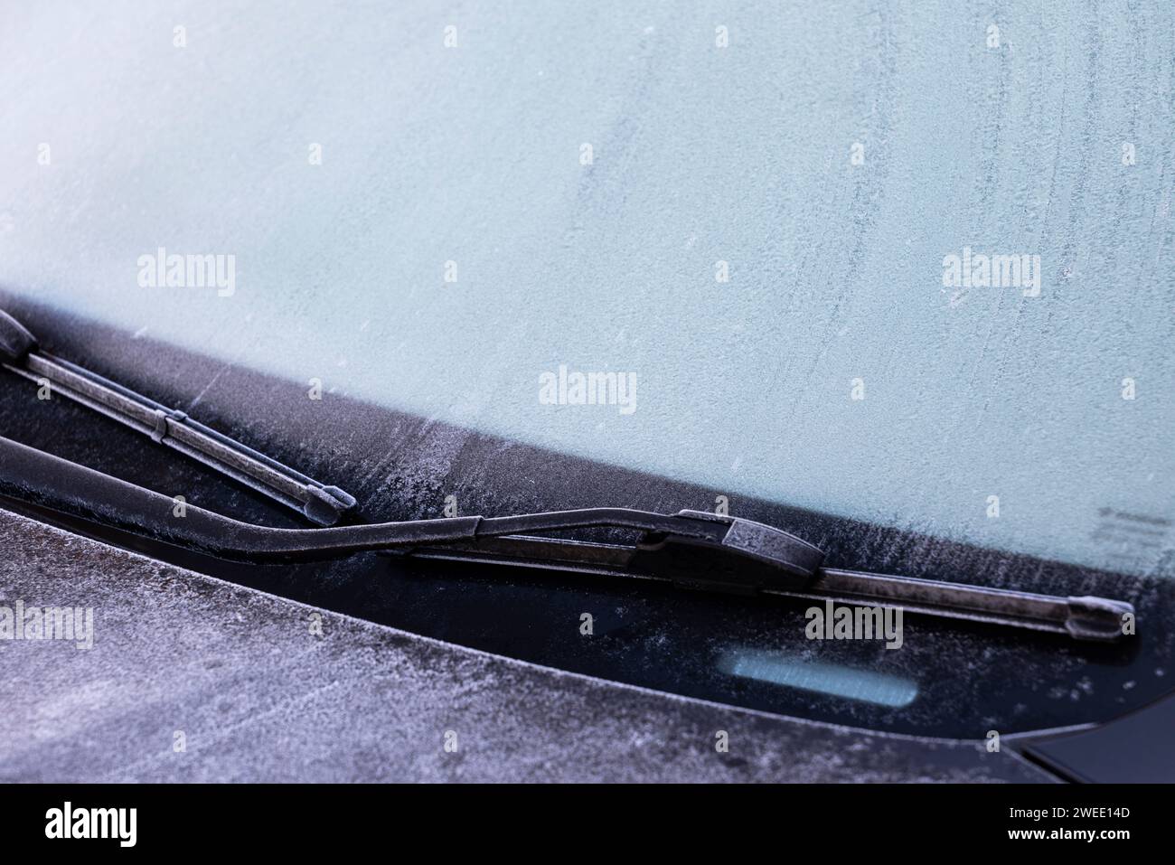 Givré, glacé, essuie-glace de voiture gelé sur le pare-brise Banque D'Images Givré, glacé, essuie-glace de voiture gelé sur le pare-brise Banque D'Images
