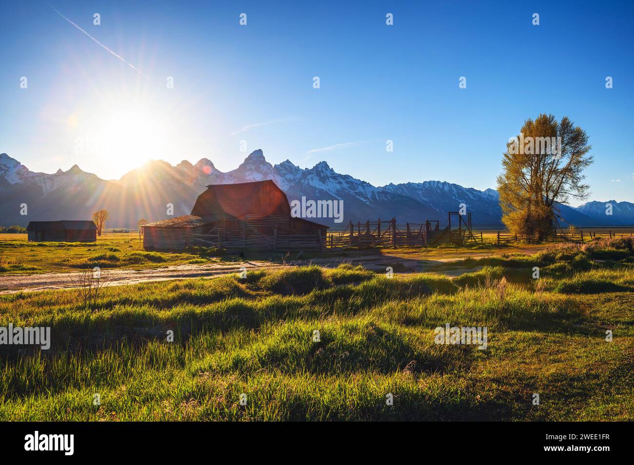 Barn historique de John Molton à Mormon Row dans le parc national de Grand Teton, Wyoming Banque D'Images