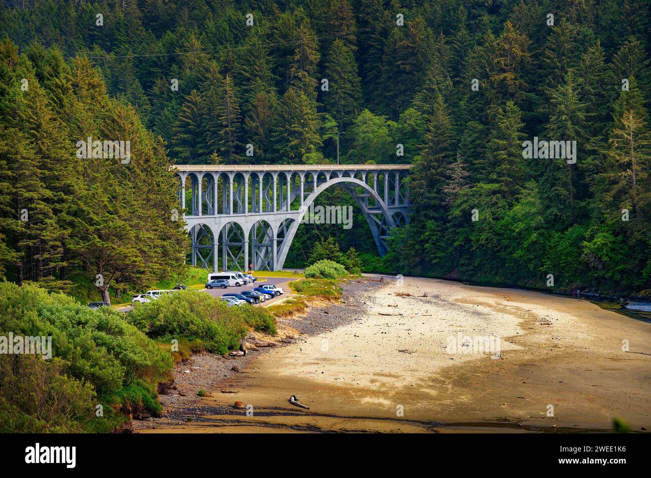 Pont voûté sur l'Oregon Coast Highway près du phare de Heceta Head, Oregon Banque D'Images