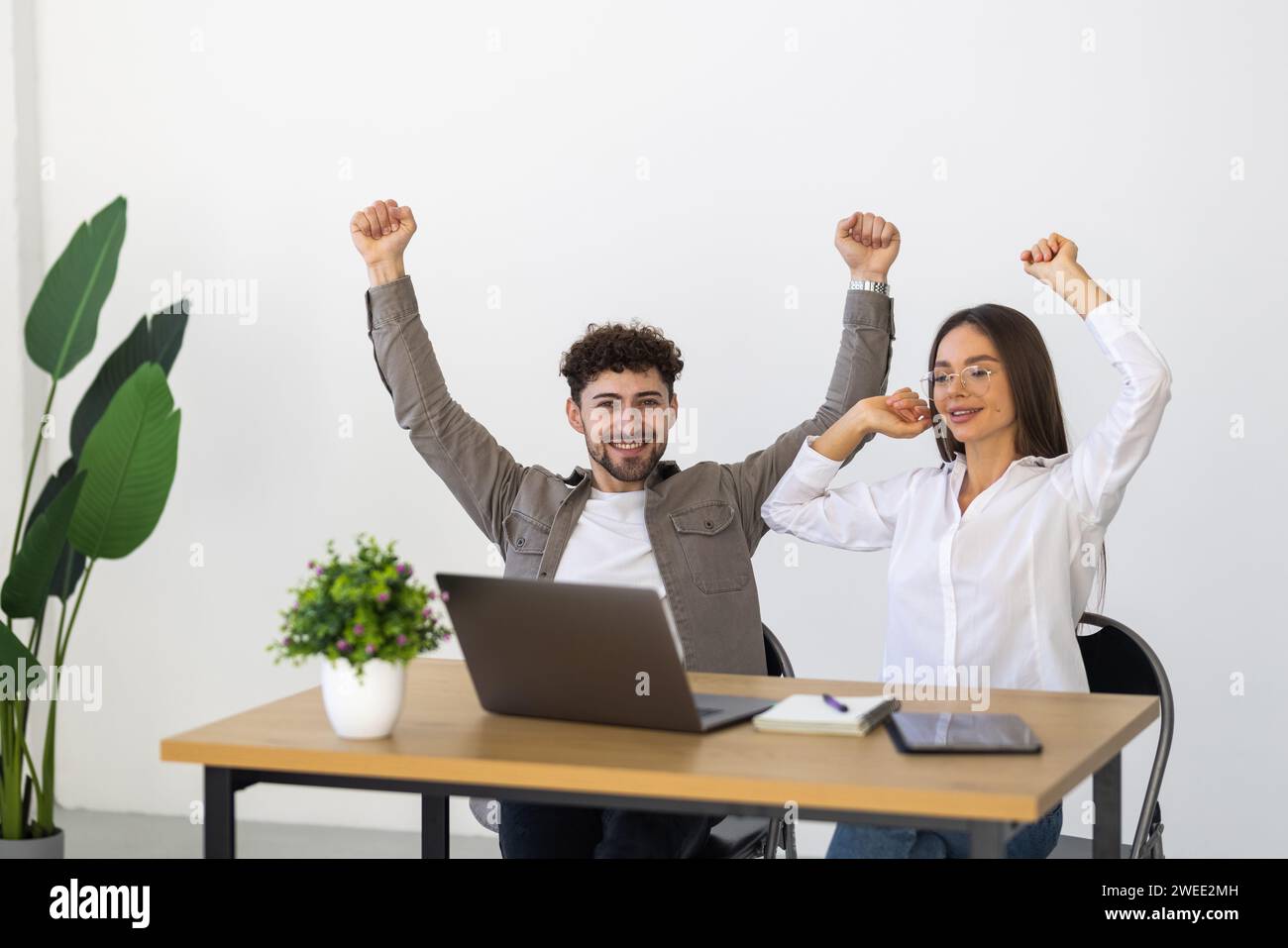 Les professionnels et les hommes d'affaires célèbrent leur succès avec des expressions du visage enthousiastes regardant l'écran de l'ordinateur portable. Banque D'Images