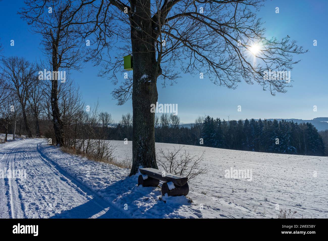 paysage d'hiver avec neige et soleil dans vogtland, saxe Banque D'Images