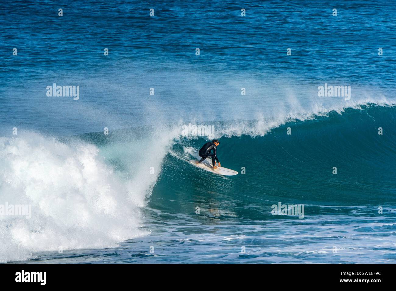Surfer sur la vague à Carrapateira, Portugal Banque D'Images