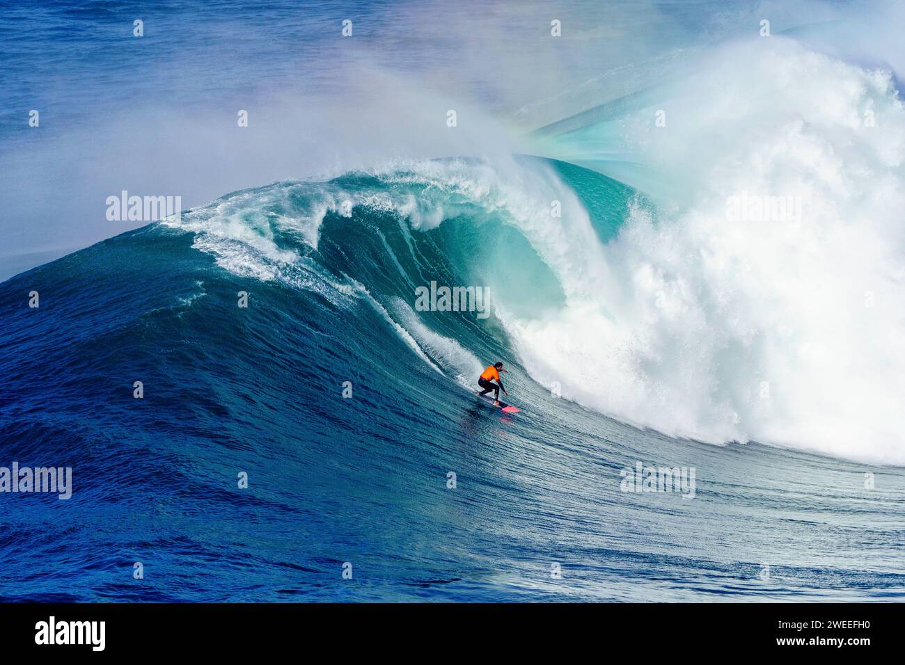 Surfer sur la vague à Nazarè (Portugal) Banque D'Images