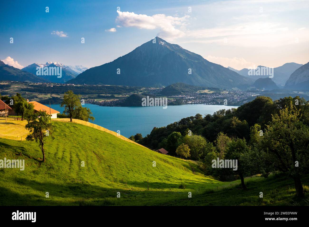 Vue panoramique sur la ville de Spiez, le lac de Thoune et la montagne Niesen en forme de pyramide en Suisse Banque D'Images