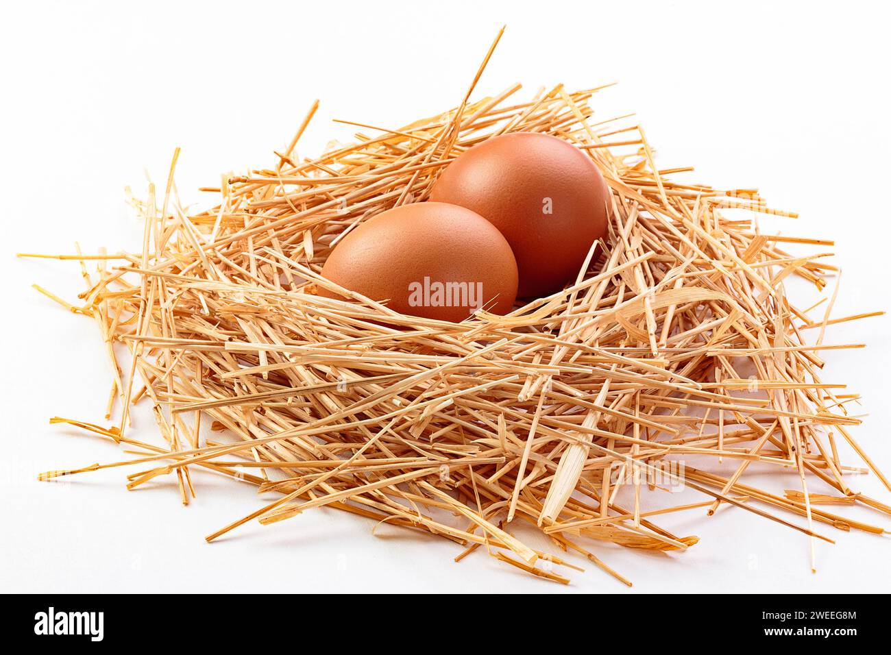 oeufs dans un nid de paille isolé fond blanc Banque D'Images