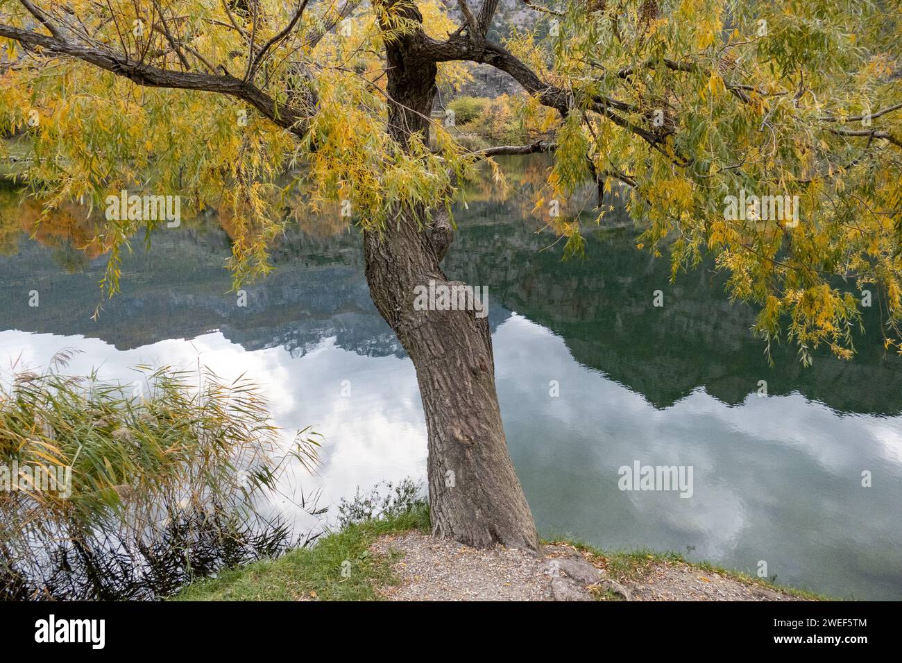 Les teintes automnales ornent les arbres et se reflètent magnifiquement sur le lac serein dans un endroit pittoresque Banque D'Images