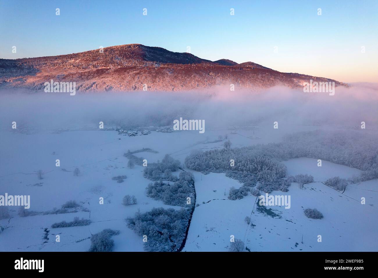 Vue aérienne de la belle forêt primitive de Kocevski Rog tôt le matin juste après la chute de neige, Dolenjske toplice, Slovénie Banque D'Images