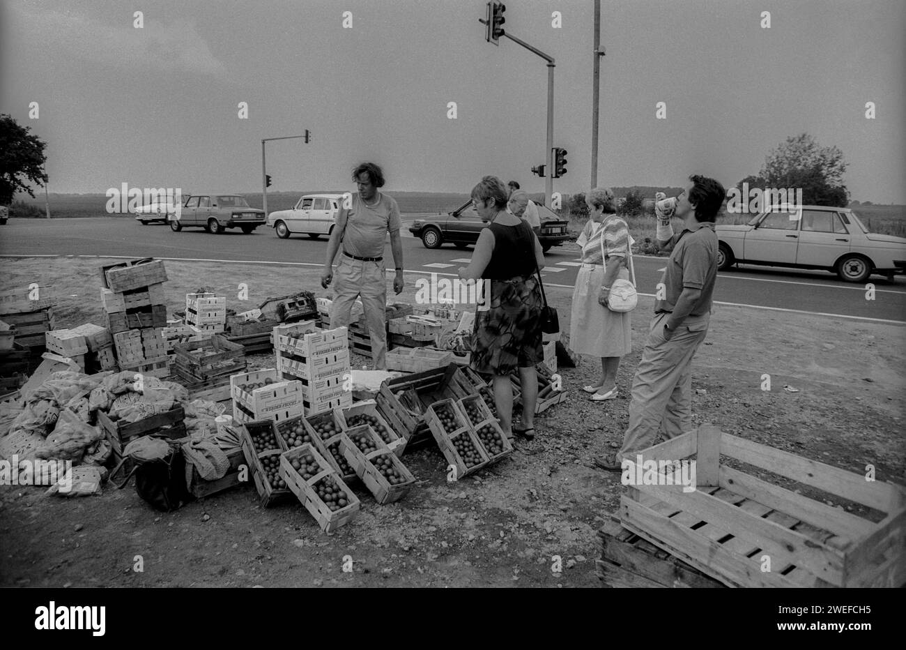 DDR, 16.08.1990, Gemüseverkäufer an der Landstraße zischen Berlin und Potsdam, Rolf Zoellner Wende *** GDR, 16 08 1990, Vendeur de légumes sur l'autoroute entre Berlin et Potsdam, Rolf Zoellner Wende Banque D'Images