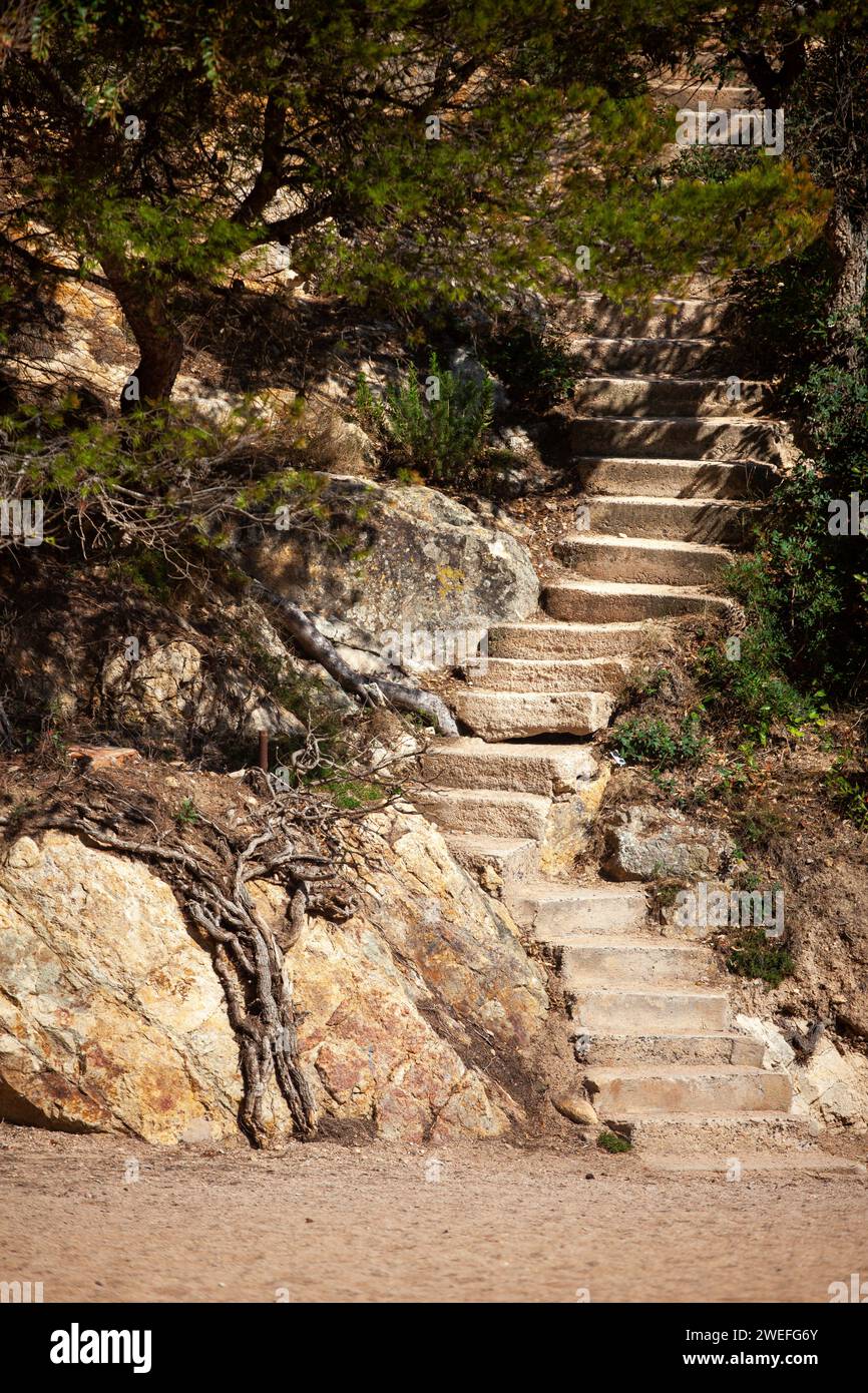 côte de mer, station, montagnes, forêt, mer, rochers, sentiers de montagne, touristique, station écologique, ville côtière, faune, ville côtière espagnole, Tossa de Banque D'Images