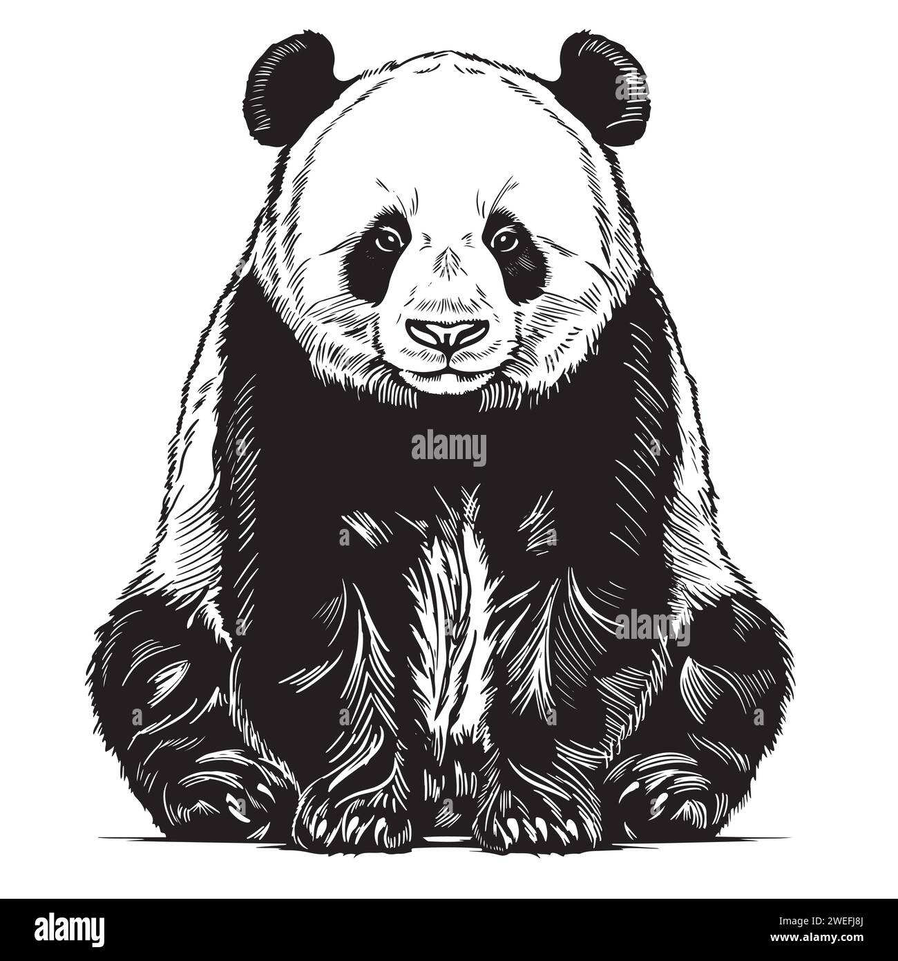 Esquisse réaliste vectorielle de cute sitting Panda en pleine longueur, illustration dessinée à la main Illustration de Vecteur