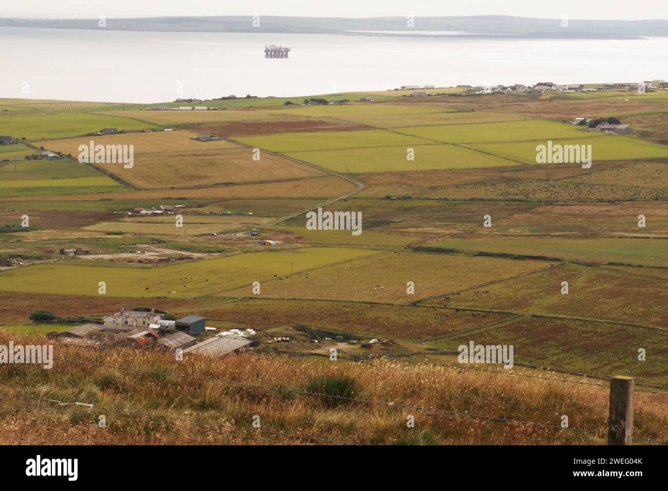 Vue sur Scapa Flow depuis Wideford Hill, Kikwall, Orcades, Écosse, Royaume-Uni à travers les champs et les terres agricoles montrant la riche agriculture des Orcades Banque D'Images