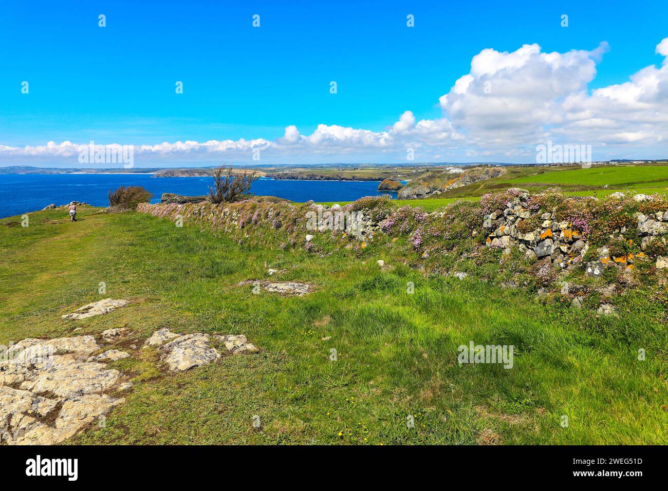 Le chemin de la côte sud-ouest près de Mullion Cove sur la péninsule de Lizard, Cornwall, Angleterre du sud-ouest, Royaume-Uni Banque D'Images
