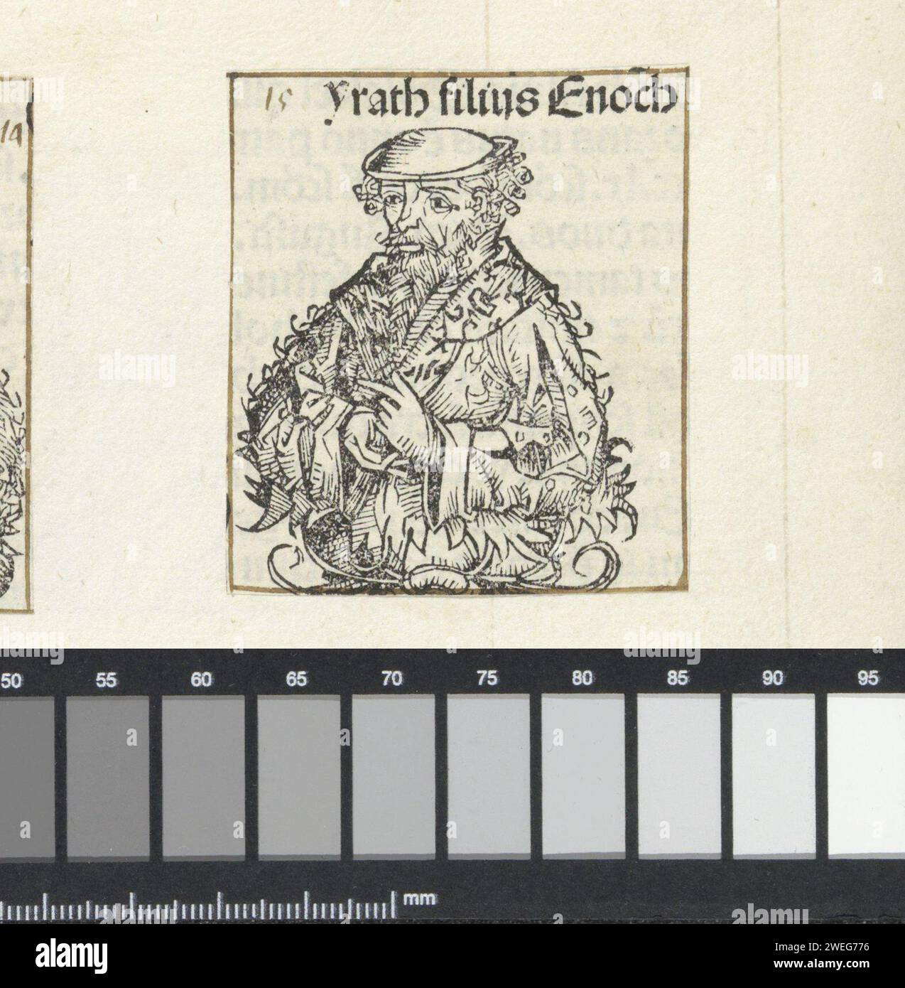 IRAD, Michel Wolgemut (atelier de), 1493 impression d'Un calice d'une fleur contenant l'image d'un homme, tourné vers la gauche. La représentation est un fragment de l'arbre généalogique du Christ dans le Liber Chronicarum. Le texte identifie l'homme comme Irad. L'impression fait partie d'un album. Typographie papier imprimant des personnes de l'ancien Testament (pas dans le contexte biblique, ni ne se produisant dans les extensions légendaires / historiques incluses dans la Division 71) Banque D'Images