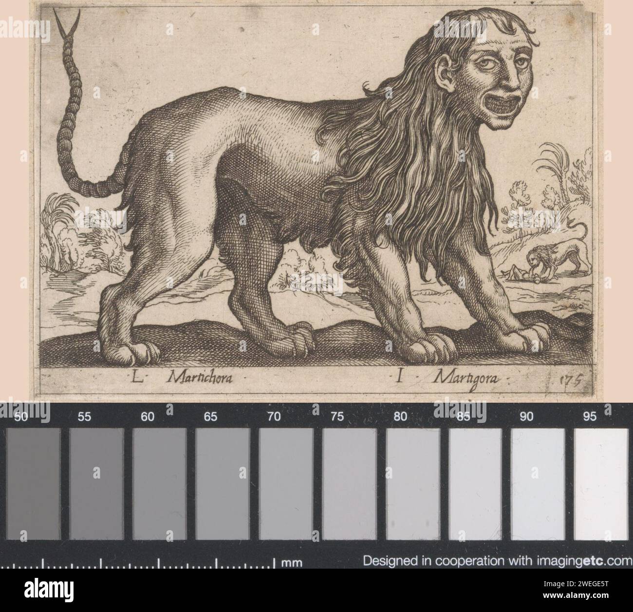 Lion avec tête humaine, Antonio Tempesta, dans ou avant 1650 imprimer papier gravure bêtes de proie, animaux prédateurs : lion. animaux déformés ; monstres. Monstres de formes humaines et animales mélangées ; 'Mostri' (Ripa) Banque D'Images