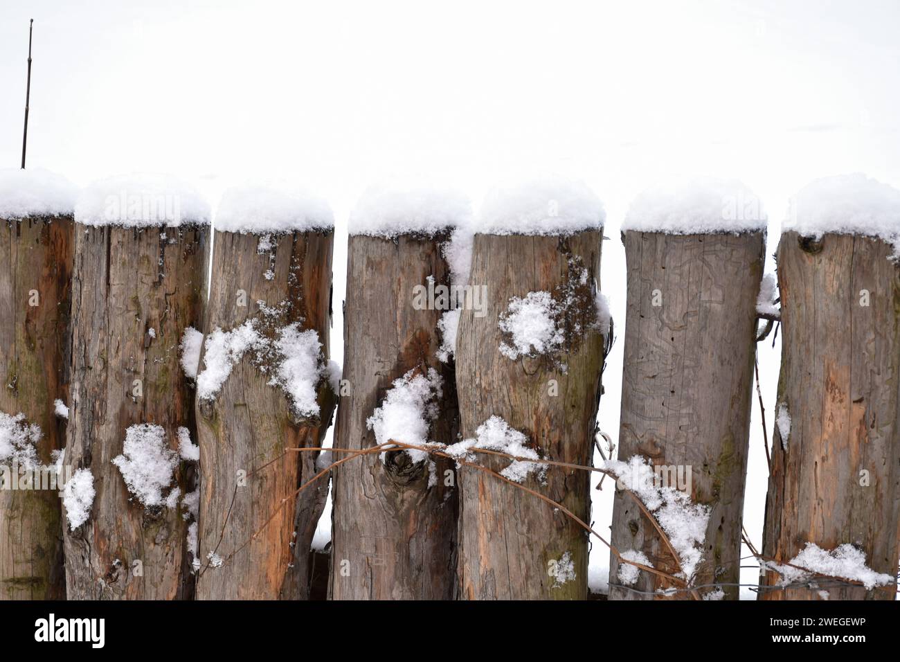 Clôture en bois vintage, poteaux en bois, bûches verticales recouvertes de neige blanche moelleuse. Campagne hivernale, temps froid, détails texturés. Banque D'Images