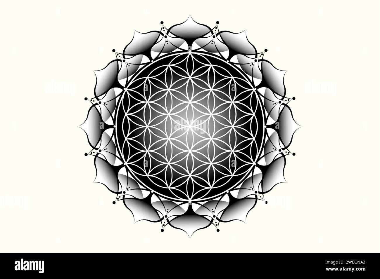 lotus sacré yantra mandala, fleur mystique de la vie. Géométrie sacrée, élément graphique de logo vectoriel isolé. Icône mystique graine de vie, logo géométrique Illustration de Vecteur