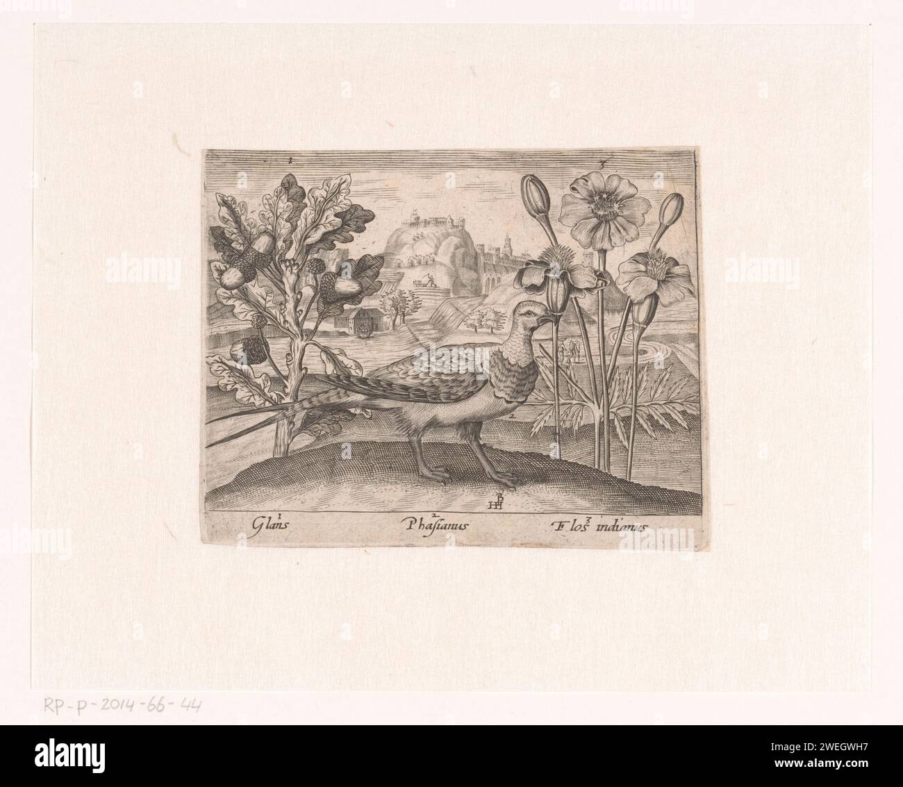 Série d'impressions avec fleurs et animaux dans un paysage, c. 1600 - c. 1605 impression d'un chêne (brillance) et chrysanthème (Flos Indian) au premier plan. Au milieu un faisan (Phasianus). gravure sur papier des arbres : chêne. fleurs : chrysanthème. marcheur et coureur d'oiseaux : faisan Banque D'Images