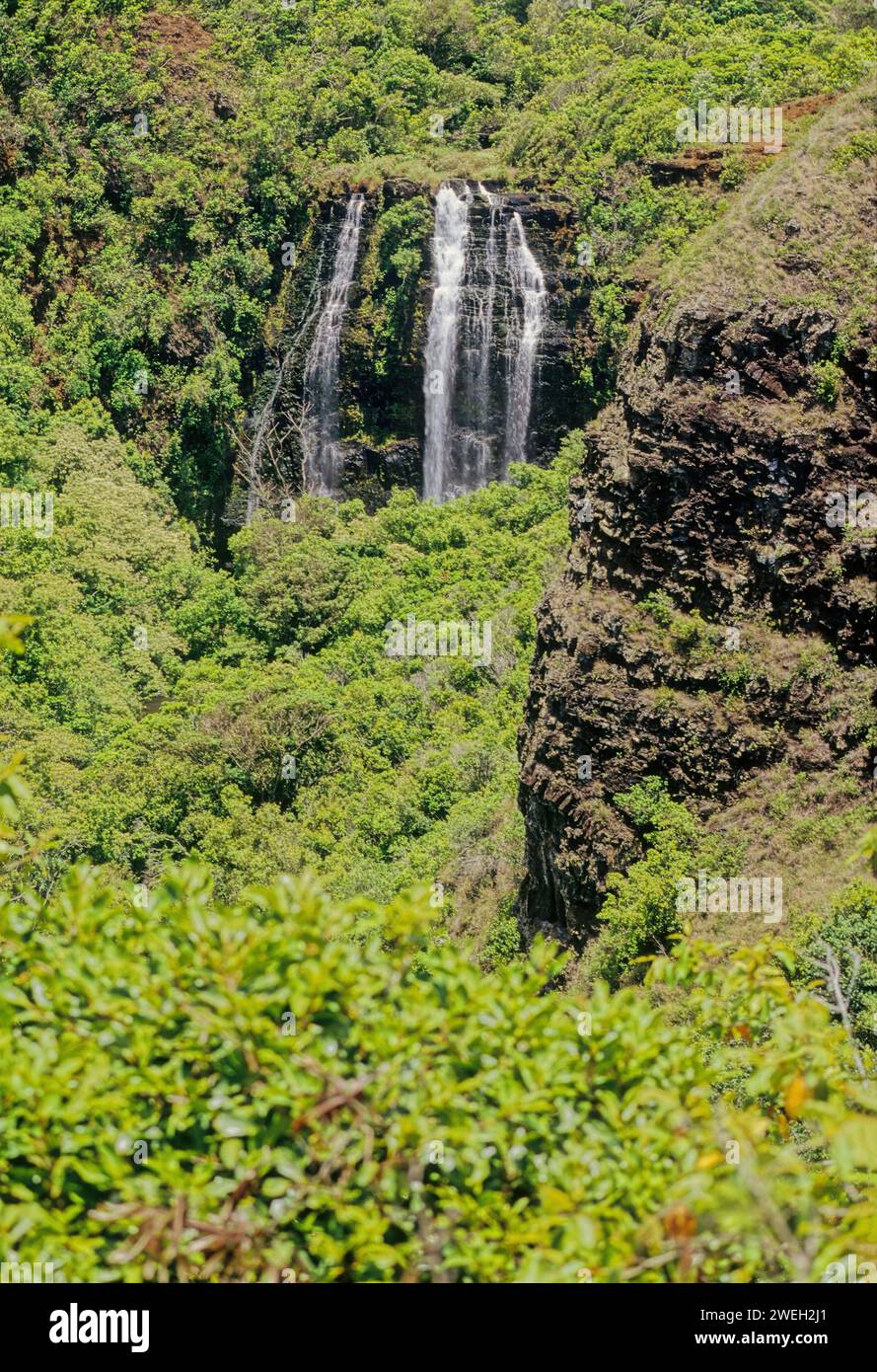 Les chutes de ʻŌpaekaʻa sont une cascade située sur le ruisseau ʻŌpaekaʻa dans le parc d'État de Wailua River sur le côté est de l'île hawaïenne de Kauai. Banque D'Images