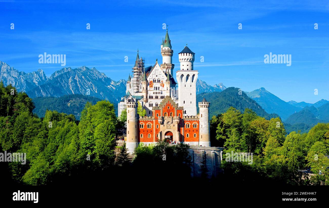 Château Neuschwanstein au soleil et forêt verte et ciel bleu, près de Füssen dans le Allgäu, Bavière, Allemagne, Europe Banque D'Images