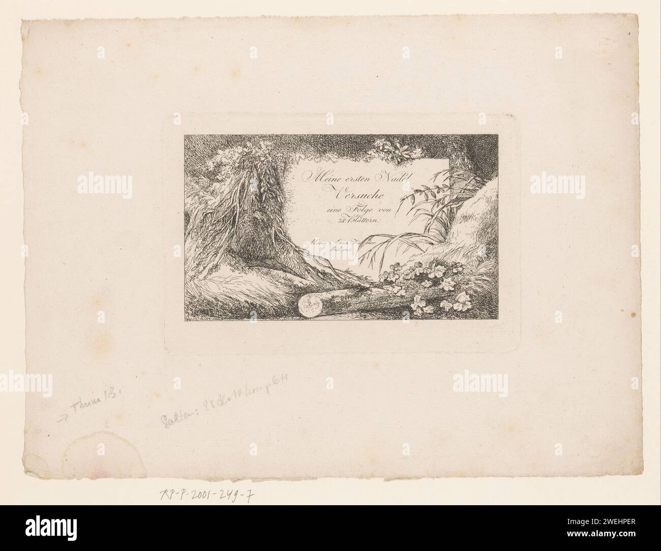 Pierre avec titre de série entre racines d'arbre et végétation, Marie Anna Fischer, 1804 imprimer Mes premières tentatives d'aiguille : un épisode de 28 feuilles. 40 Etsen : paysages en chiffres. Vienne 1804 usines de gravure du papier ; végétation. inscription Banque D'Images