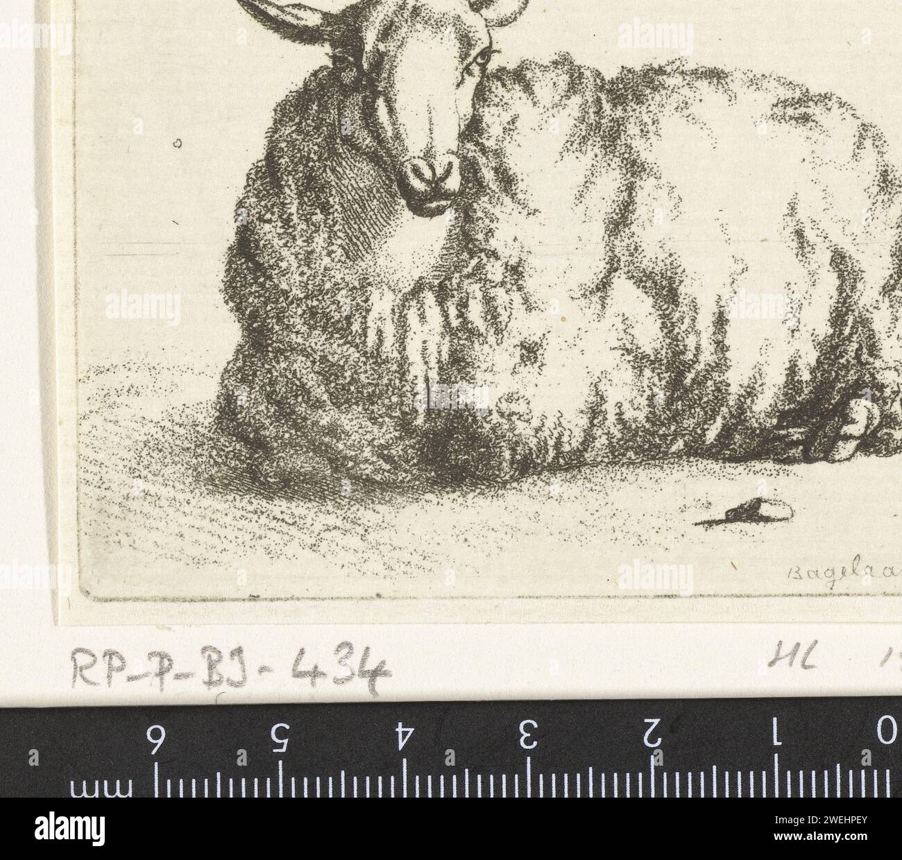 Moutons couchés de l'avant, Ernst Willem Jan Bagelaar, d'après Paulus Potter, 1798 - 1837 papier d'impression gravure des moutons Banque D'Images