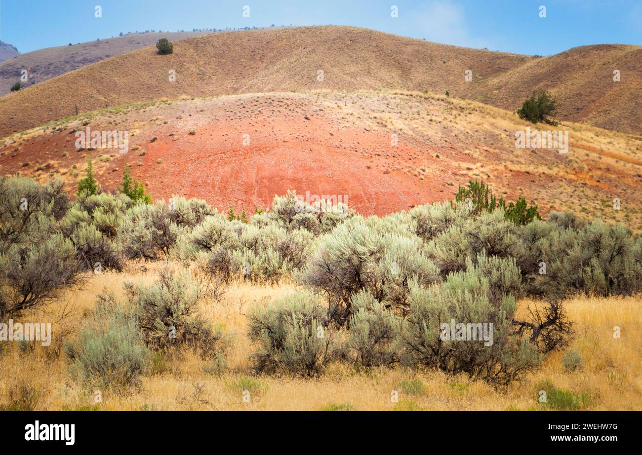 Painted Hills, John Day Fossil Beds, Oregon Banque D'Images